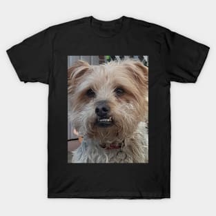 cute dog smiling T-Shirt